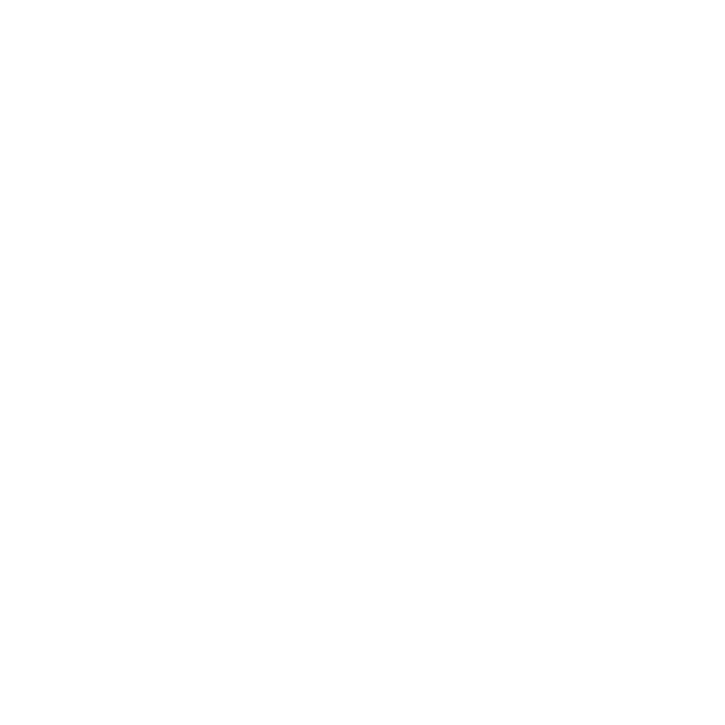 Bola Volley