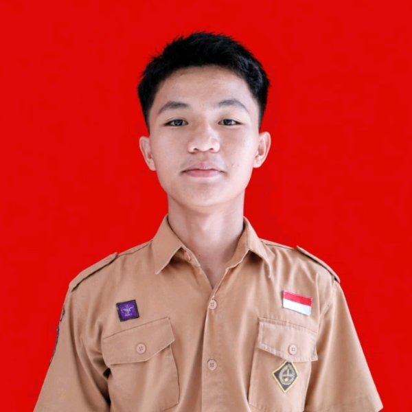 Farman Basrul Lase